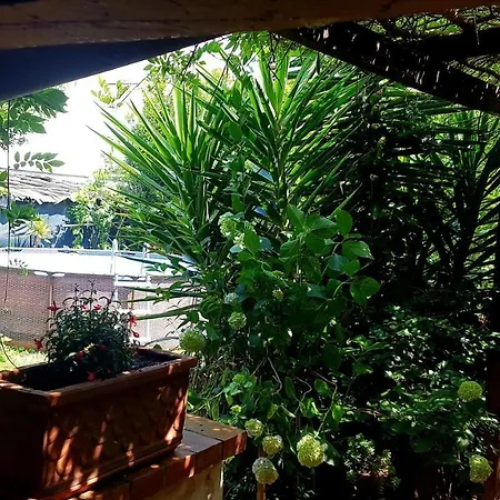 Casa Maya Con Giardino Privato Vakantiehuis Torre del Lago Puccini